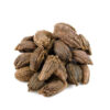Black Cardamom